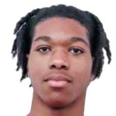 艾尔文·佩蒂特·多尔